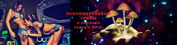 ПСИЛОЦИБИНОВЫЕ ГРИБЫ Баксан