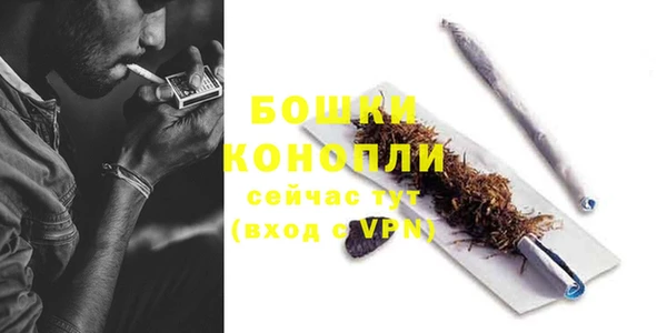 ПСИЛОЦИБИНОВЫЕ ГРИБЫ Баксан