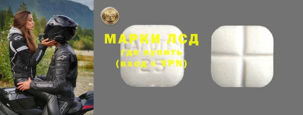 ПСИЛОЦИБИНОВЫЕ ГРИБЫ Баксан