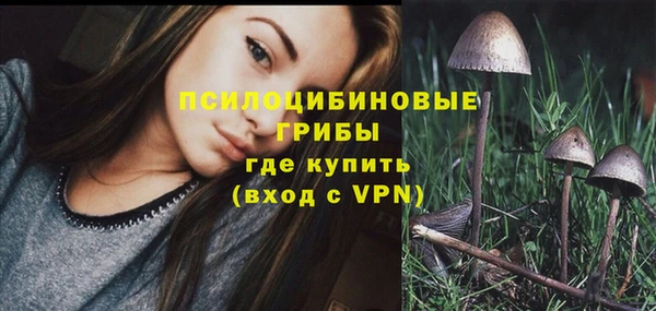 ПСИЛОЦИБИНОВЫЕ ГРИБЫ Баксан