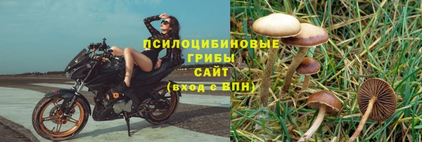 ПСИЛОЦИБИНОВЫЕ ГРИБЫ Баксан