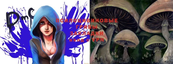 ПСИЛОЦИБИНОВЫЕ ГРИБЫ Баксан
