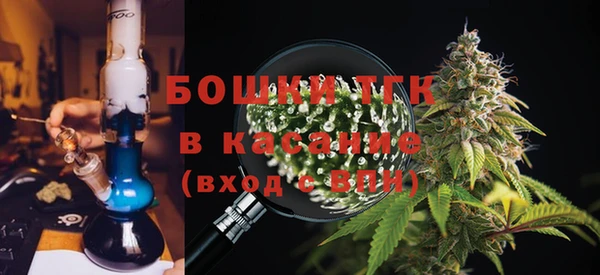 ПСИЛОЦИБИНОВЫЕ ГРИБЫ Баксан
