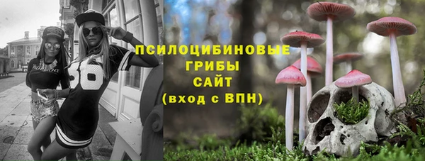 apvp Балабаново