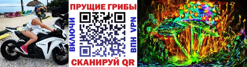 блэк спрут   Вуктыл  Галлюциногенные грибы мухоморы 